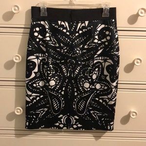 Express Pencil Skirt